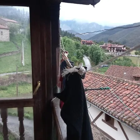 La Casa De Gatos Appartement