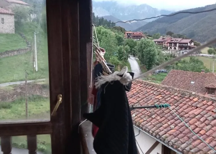 La Casa De Gatos Apartment